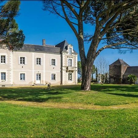 Vignoble Chateau Piegue - Winery Rochefort-sur-Loire Zewnętrze zdjęcie