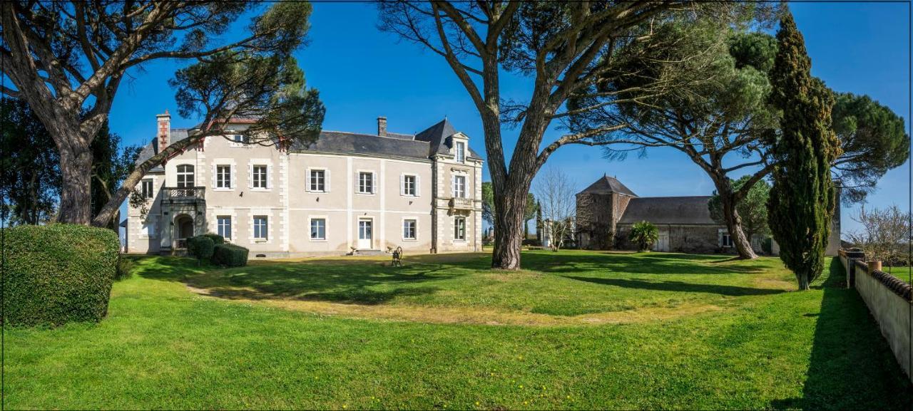 Vignoble Chateau Piegue - Winery Rochefort-sur-Loire Zewnętrze zdjęcie