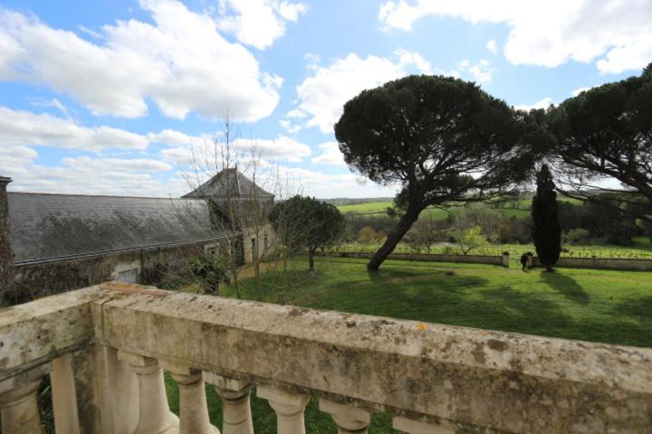 Vignoble Chateau Piegue - Winery Rochefort-sur-Loire Zewnętrze zdjęcie